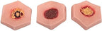 Washable PVC pressure sore simulator for nursing college training.