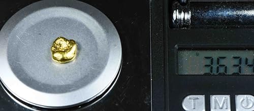 Authentic raw gold nugget 3.63 grams scale reference