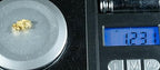 Genuine Alaskan placer gold nugget scale reference