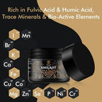 Authentic imported shilajit resin displaying its rich dark texture and moisture control consistency