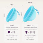 EcoBlossom reusable period disc kit showing 12 hour leak proof protection features.