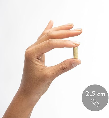 High absorption quercetin phytosome supplement for advanced antioxidant protection