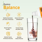 Vital Earth Minerals authentic USA imported liquid multimineral supplement bottle on clean background