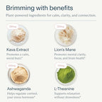 FOCL Mixed Berry Kava supplement nutrition label showing active ingredients