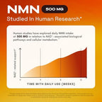 Sixty capsules container of Cata-Kor NMN alternative supplement for daily longevity support.
