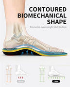 WalkHero orthotic inserts showing rigid nylon arch for plantar fasciitis.