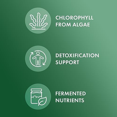 Back of Dr. Mercola Fermented Chlorella bottle showing ingredients
