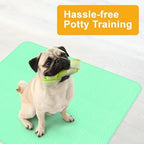 Green Lifestyle waterproof underpads used for pet training