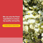 Natural Factors Rutin 250mg clear view of product directions and recommended daily usage guidelines