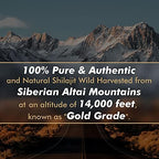 Altay Mountains sourced pure shilajit resin jar ideal for natural immunity support