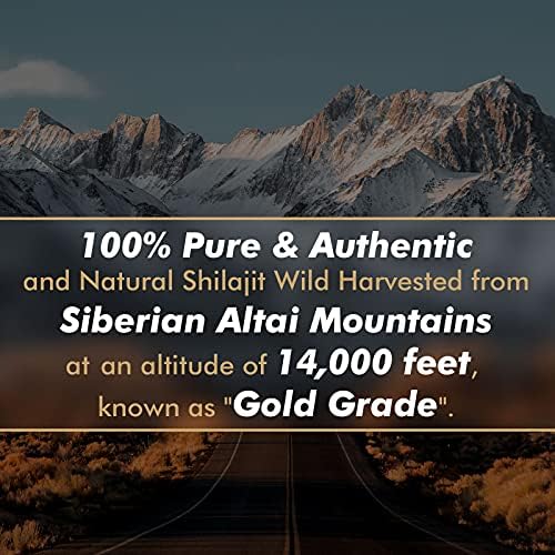 Altay Mountains sourced pure shilajit resin jar ideal for natural immunity support
