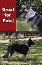 SaverPak BodyForge insect repellent bandanna packaging