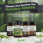 High absorption quercetin phytosome supplement bottle back label displaying ingredient details.