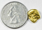 Genuine Alaskan BC placer gold nugget close-up texture