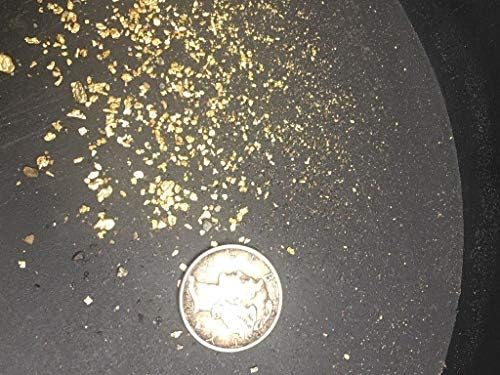 Gold Flakes Recovered From Colorado Paydirt Panning