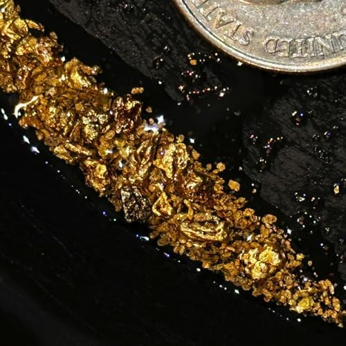 Bobby Nugget Gold Paydirt concentrated paydirt texture
