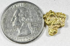 Genuine 2.27 grams Alaskan BC natural gold nugget organic shape