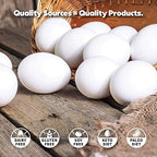True Nutrition dairy free protein powder scoop and texture close up