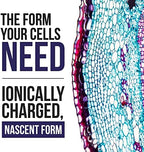 Two fluid ounce bottle of USA imported nascent iodine for metabolism support.