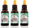 PONLEE Brazil Green Bee Propolis Liquid Extract 30ML front view bottle with dropper.
