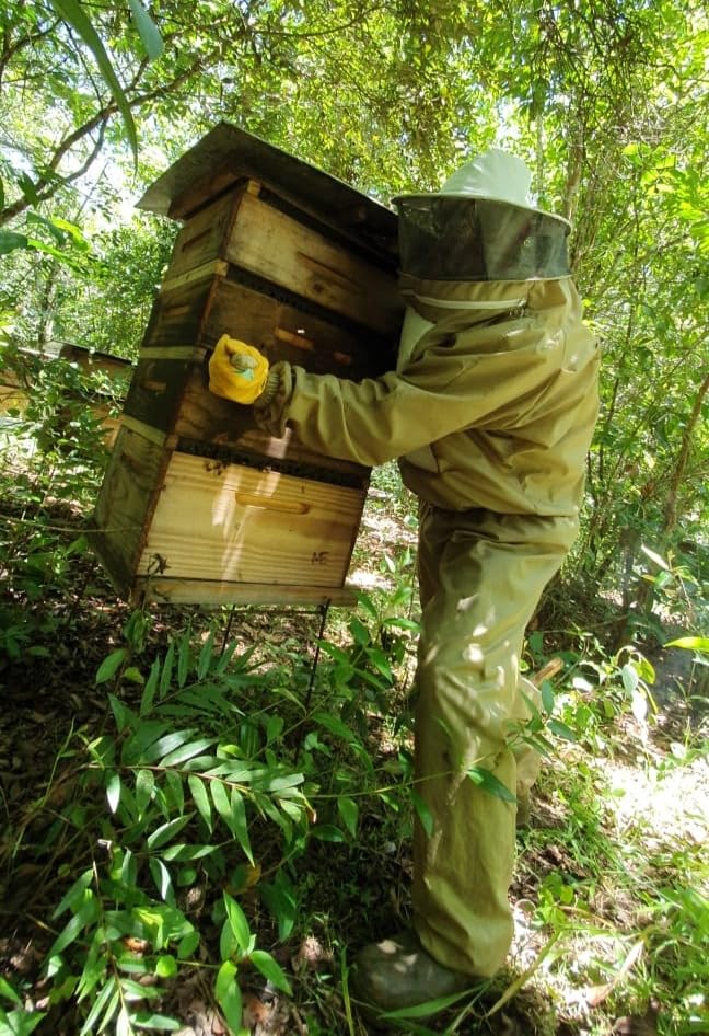 Authentic Uniflora Brazilian Green Bee Propolis imported supplement for daily wellness.