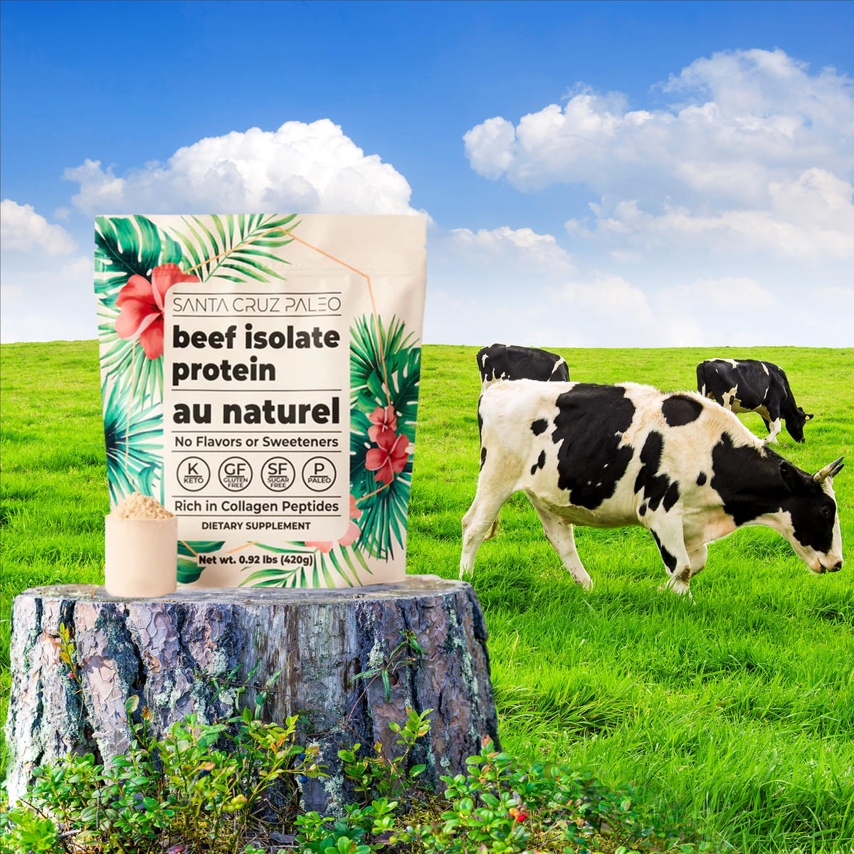 Santa Cruz Paleo unflavored beef protein bag showing 20 grams of protein per serving