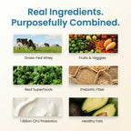 TrueFit Vanilla protein powder scoop with organic superfood ingredients.
