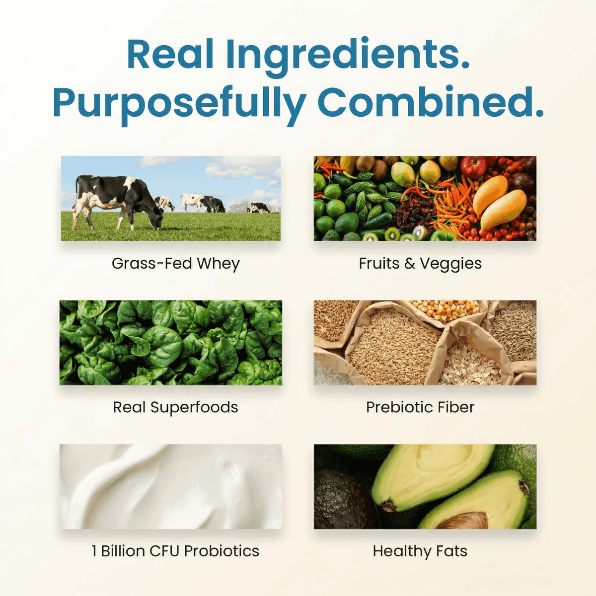 TrueFit Vanilla protein powder scoop with organic superfood ingredients.