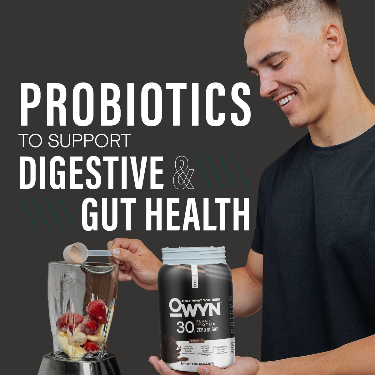 Top rated plant protein supplement without sugar or artificial flavors
