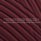 Nagaia Cabernet Chic dip powder texture close up