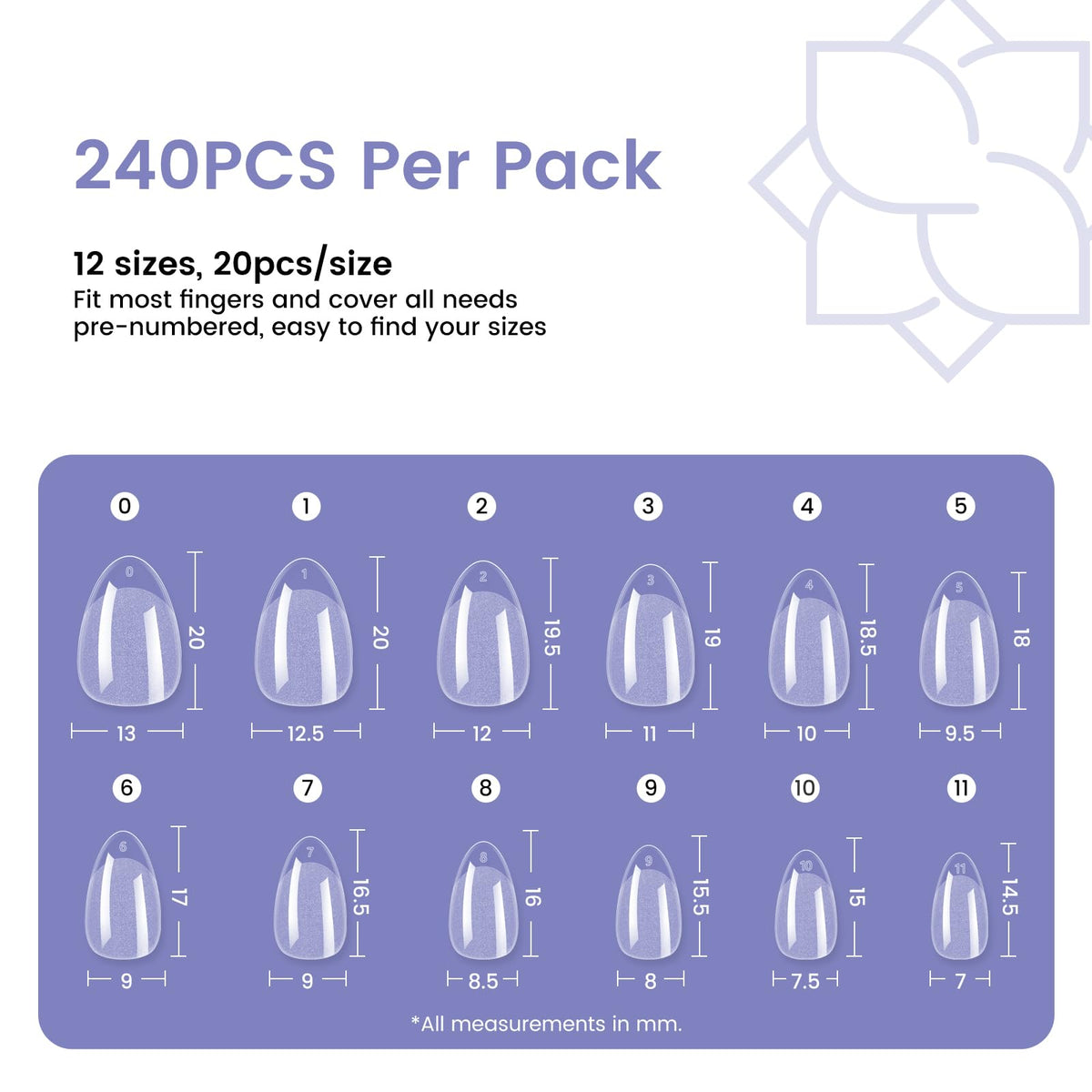 Storage box layout of 12 sizes of Wilfniee nail tips