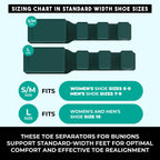 PrimalStep toe straighteners arranged for foot health