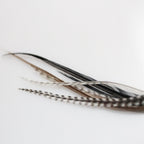 High quality imported feather hair extension pack