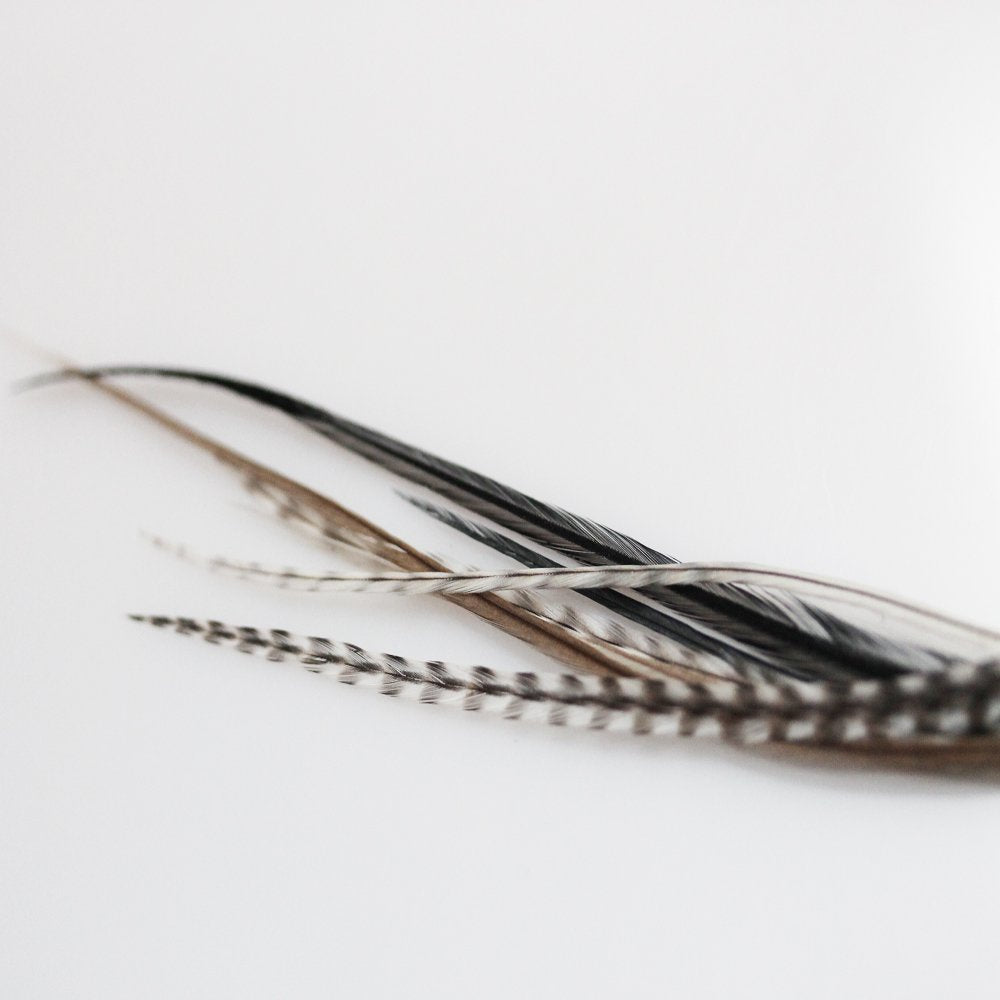 High quality imported feather hair extension pack