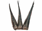 Moonlight Feather natural pheasant tail clump for DIY crafts
