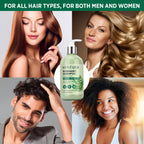 Svvimer Eleven Point Eight Fluid Ounce hair density shampoo bottle with ingredient callouts