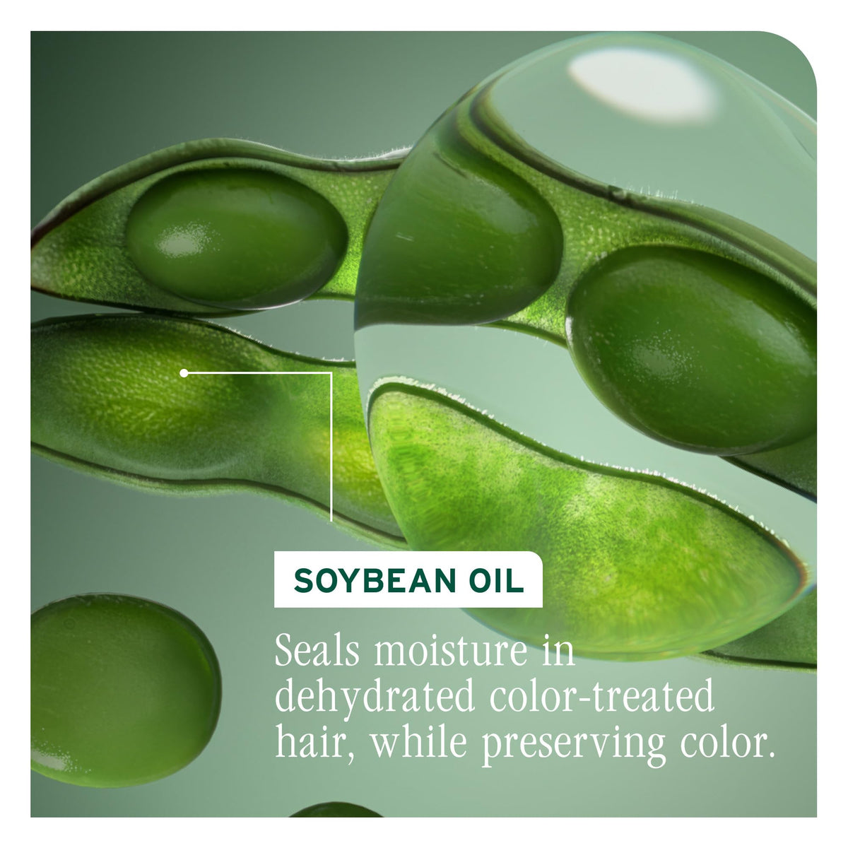 Authentic Biolage conditioner for vibrant hair