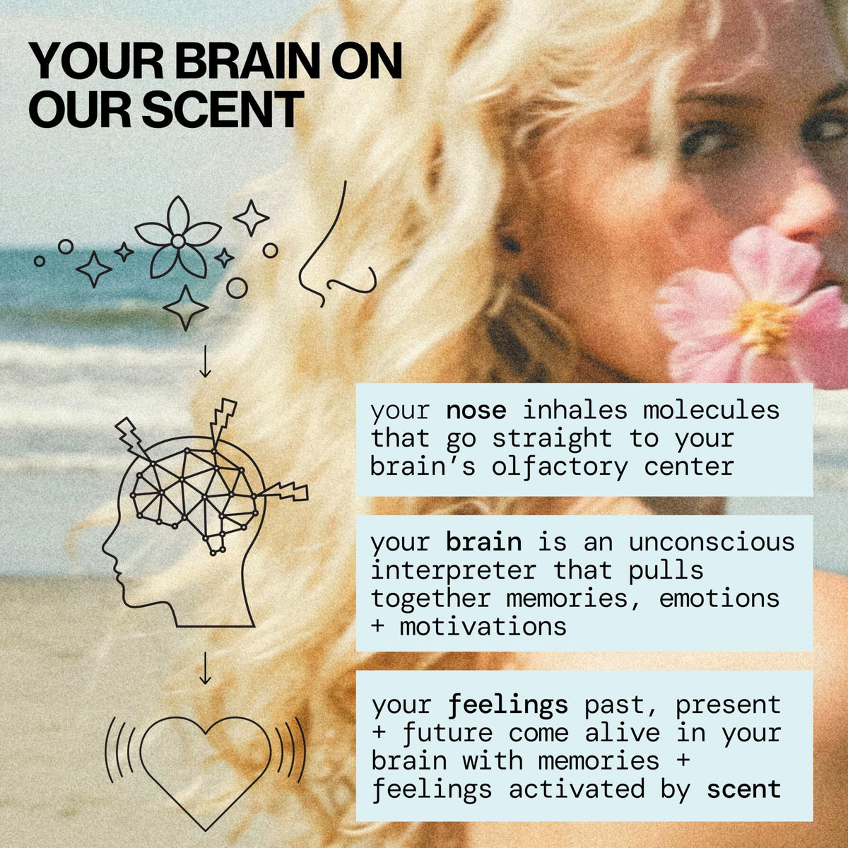 Pacifica Dream Moon perfume 1 fluid ounce travel size bottle