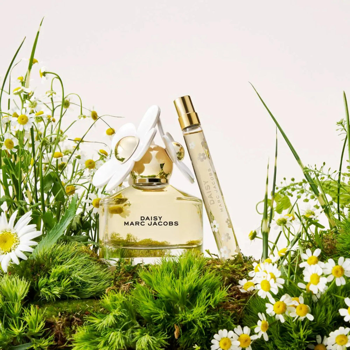Marc Jacobs Daisy Eau De Toilette gift box packaging