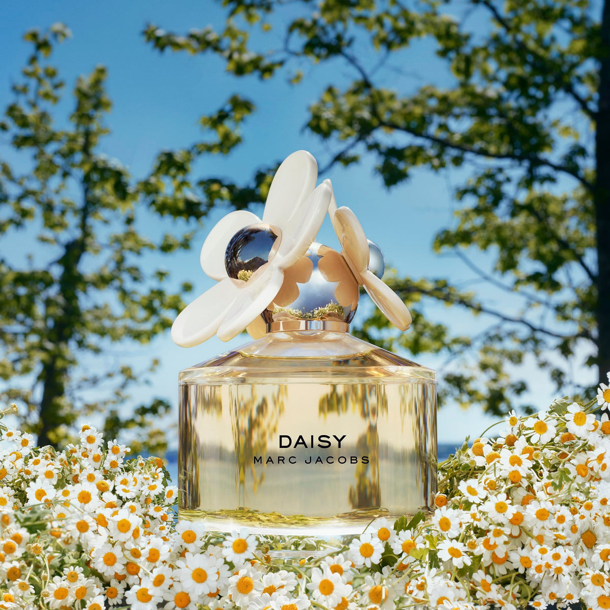 Marc Jacobs Daisy fragrance display with floral accents