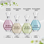 Calvin Klein CK One imported beauty product for men and women