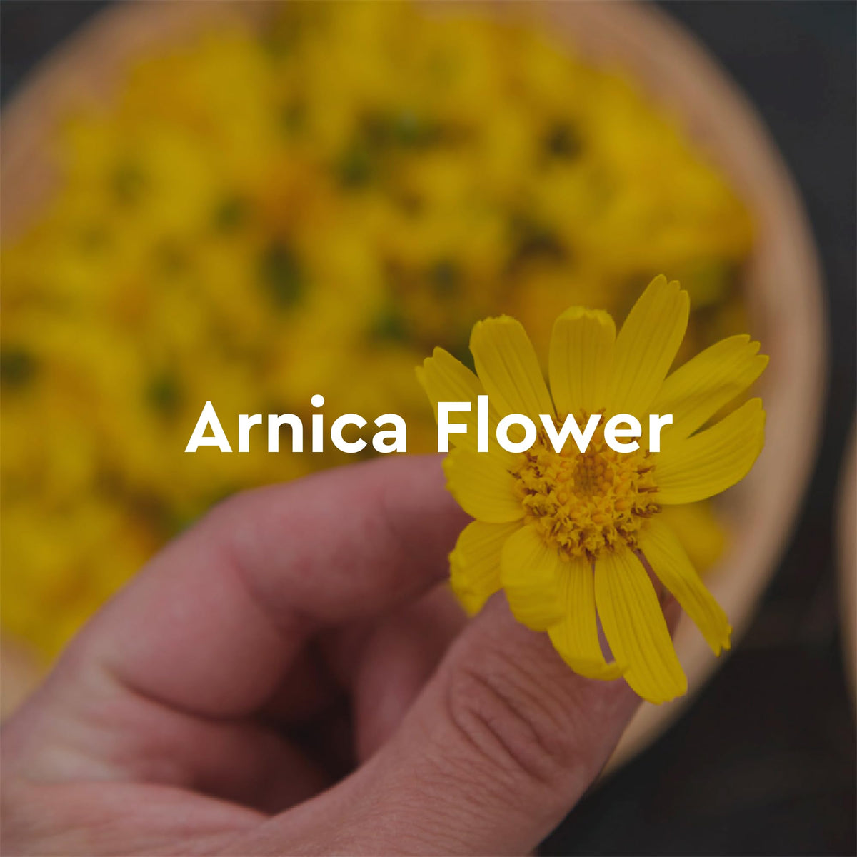 Kneipp natural arnica and rosemary essential oil blend bottle profile