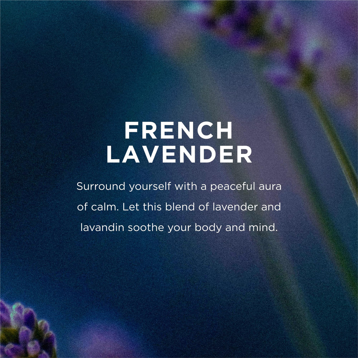 Close up of EO French Lavender Bubble Bath label