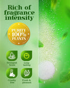 The complete sixteen count box set opened to show how the aromatherapy gifts are securely arranged.