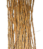 Al Badil Vetiver root botanical stems for herbal infusion.