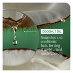 Biolage coconut oil infused leave-in conditioner spray for frizz control