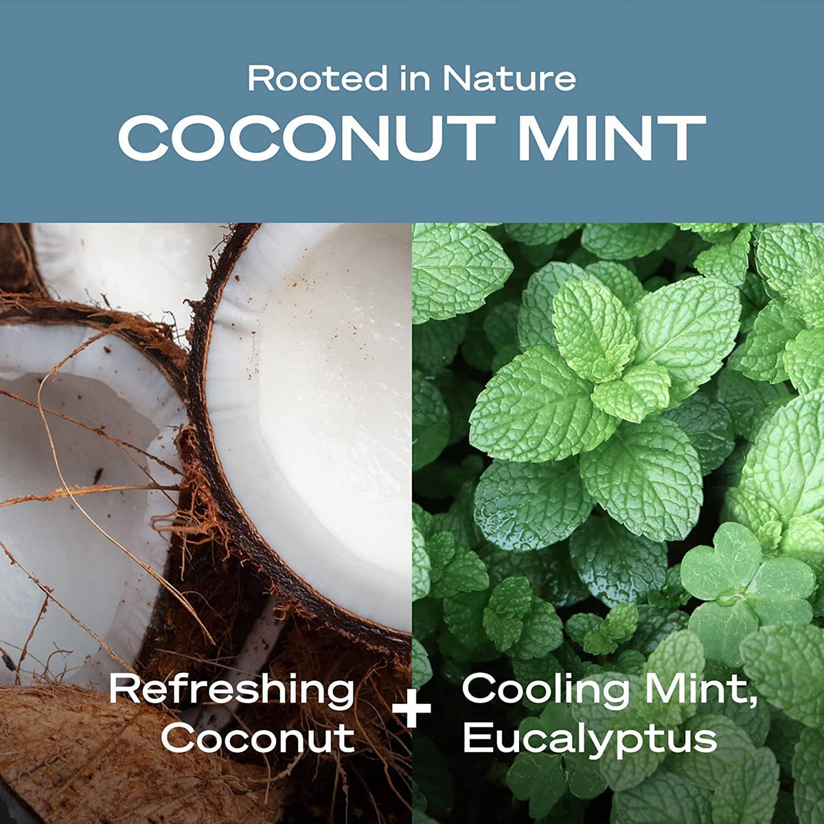Eco friendly paper tube packaging of Hey Humans vegan deodorant