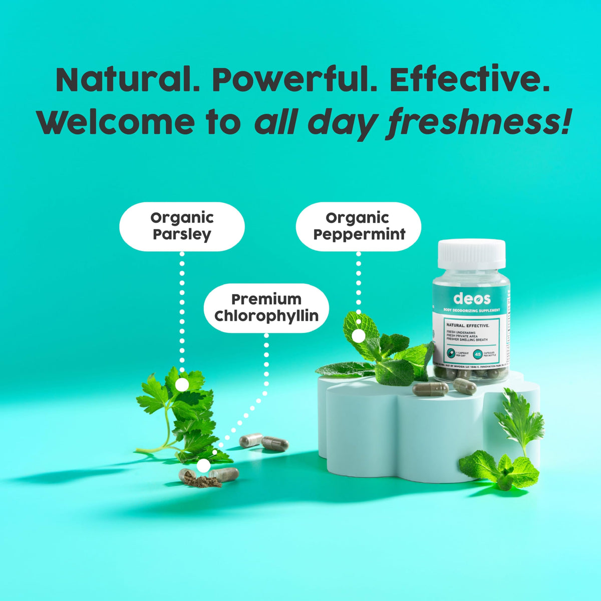 Close up of DEOS internal deodorizer supplement label