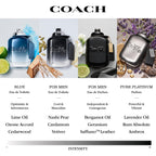 Coach luxury brand horse and carriage logo skincare packaging