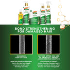 Palmer's amino bonding complex benefits graphic